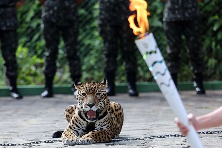 20 de junho - Revezamento Tocha Olímpica - Revezamento na Selva - Manaus AM. Foto: Ivo Lima/ME
