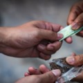 Brasil tem em média 495 ocorrências de tráfico de drogas por dia; Paraíba registra o maior percentual do Nordeste