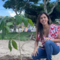 Primeira-dama de Bananeiras anuncia ação de plantio de Ipês pelo município
