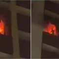 Empresários paraibanos e cadela de estimação morrem durante incêndio em hotel no Ceará