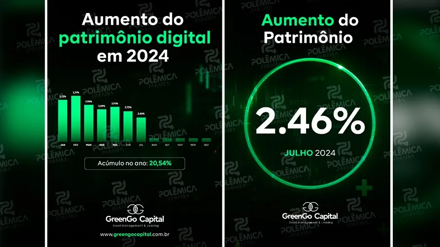 Com aumento de mais de 20%, GreenGo Capital divulga o balanço de 2024; confira