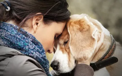 Reencarnação: veja o que dizem os especialistas sobre o que acontece com a alma dos animais de estimação após a morte