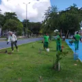 Parque das Três Ruas ganhou 500 novas árvores