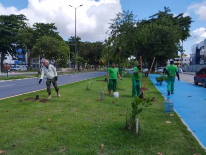 Parque das Três Ruas ganhou 500 novas árvores