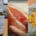 "XAPA XANA": lubrificante a base de cannabis estava entre produtos mais vendidos por traficantes presos