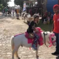 Expofeira Paraíba Agronegócios é opção de lazer para o fim de semana em João Pessoa