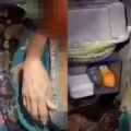 Mulher fica duas horas enrolada por píton gigante na cozinha de casa; veja vídeo