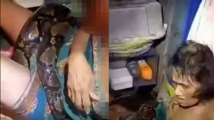 Mulher fica duas horas enrolada por píton gigante na cozinha de casa; veja vídeo