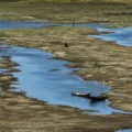 Consórcio Nordeste cria comitê para monitorar emergências climáticas