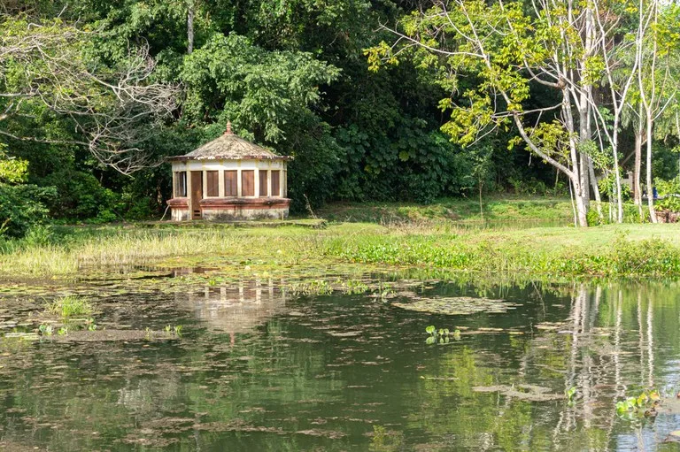 Jardim Botânico e Vale dos Dinossauros alteram funcionamento neste final de semana