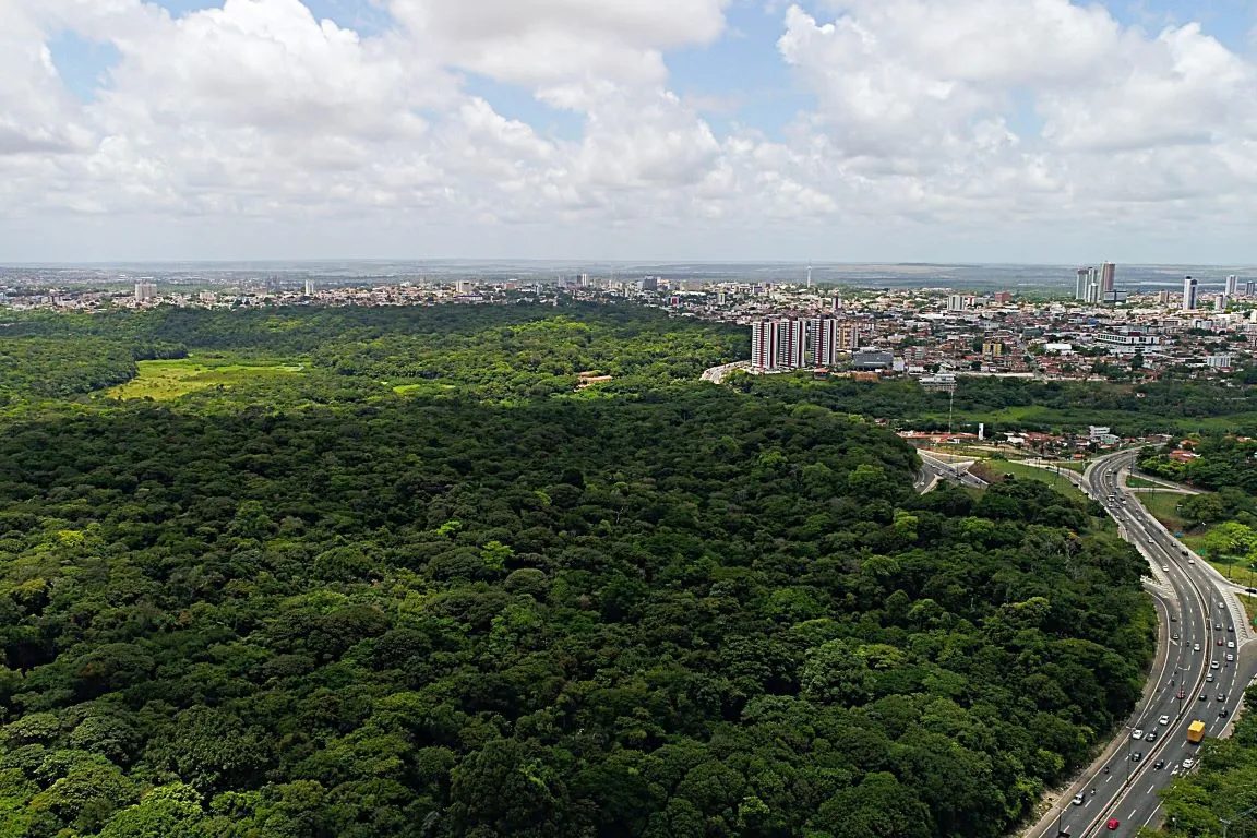 Jornalista Teócrito Leal denuncia crime ambiental na Mata do Buraquinho, em João Pessoa