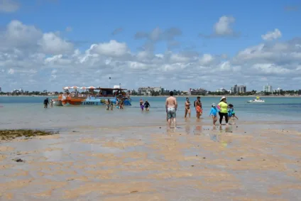 Sudema promove curso para profissionais que atuam em Areia Vermelha e Naufrágio Queimado