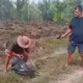 Marido de Prefeita é suspeito de arquitetar morte de agricultor junto ao irmão - VEJA O VÍDEO DO CRIME