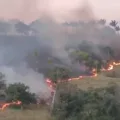 Incêndio destrói cerca de 300 metros de vegetação na cidade de Lagoa Seca