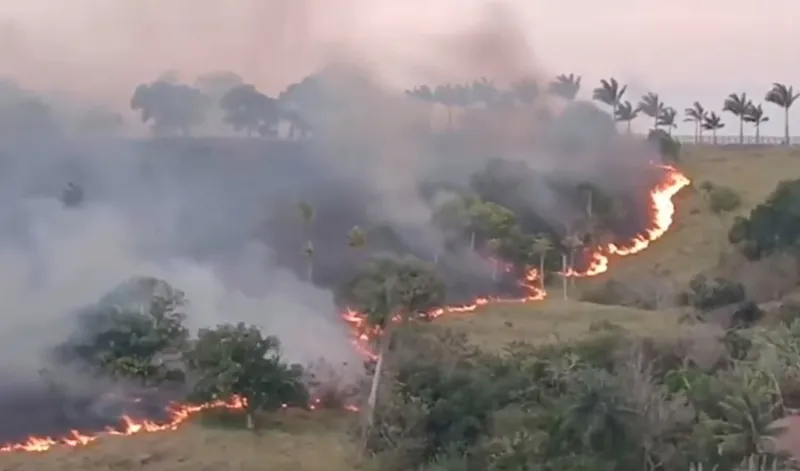 Incêndio destrói cerca de 300 metros de vegetação na cidade de Lagoa Seca