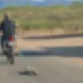 Motociclista é flagrado arrastando cachorro amarrado a moto no Sertão da PB; veja vídeo