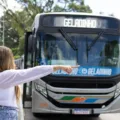 Geladinho terá frota ampliada em 50% e reforçará transporte coletivo de João Pessoa em 2025