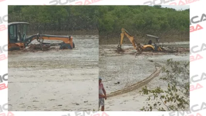 Moradores denunciam que maquinas da prefeitura de Lucena estão sendo utilizadas para retirar madeira de manguezais : "crime ambiental"