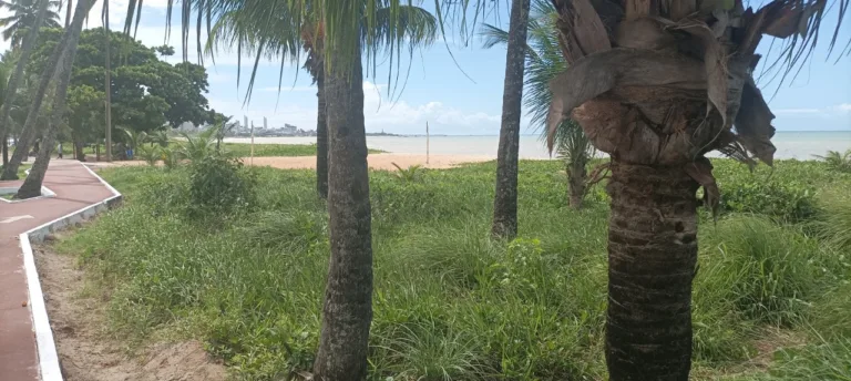 Foto das praias urbanas de Cabo Branco e Tambaú