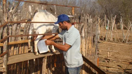 Foto: Antonio Carlos Alves/Arquivo Diário do Nordeste