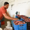 Governo compra 17,5 t de alimentos da agricultura familiar e atende pessoas em situação de insegurança alimentar