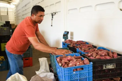 Governo compra 17,5 t de alimentos da agricultura familiar e atende pessoas em situação de insegurança alimentar