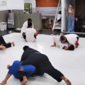 Lutadores de Jiu-Jitsu