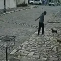 CRUELDADE: Homem é detido após agredir cachorro com corrente em Mandacaru - VEJA O VÍDEO