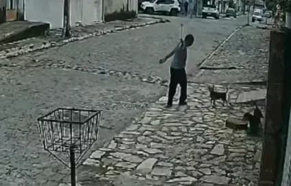 CRUELDADE: Homem é detido após agredir cachorro com corrente em Mandacaru - VEJA O VÍDEO