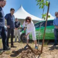 Semam vai plantar 33 mil árvores em 65 bairros com o programa João Pessoa + Verde