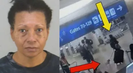 CRUELDADE: mulher afoga e mata cão em vaso de aeroporto para não perder voo