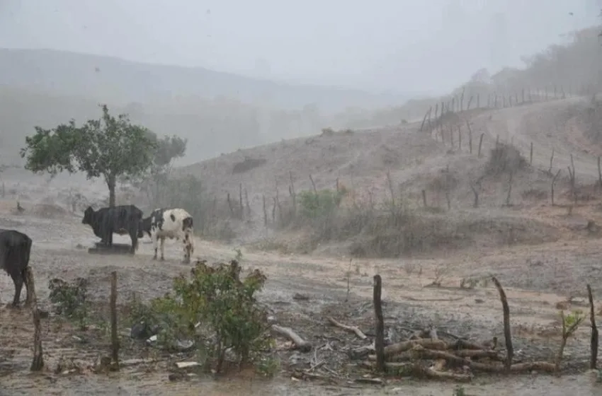 Alerta de chuvas intensas e ventos fortes para 83 municípios da Paraíba; veja quais são